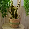 Storage Bottles Handwoven Straw Flower Pot Indoor Plants Container Laundry Toy Basket For Garden Home Decoration