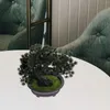 Decorative Flowers Artificial Plants Indoor Bonsai Pine Tree Mini Desk Fake Decorations Cute Office