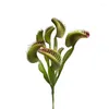 Dekorativa blommor Simulerad saftig växt Dionaea Muscipula Ornamental Bonsai Color Artificial Potted