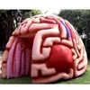 Modelo do cérebro de 4m de largura (13,2 pés) com gigante do soprador Brain Giant Brain Promotal Colorful Cerebrum Tunnel Tent para exibição médica