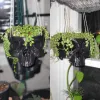 Baskets 3D Printe Hanging Skull Planter Small Hanging Pot Halloween Decor Succulent Planter Trailing Succulent Planter