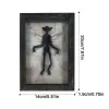 Sculptures Gothic home decor Mummified fairy Fairy skeleton Witchy decor Fairy specimen Statue Picture Frames Display Painting