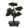 Flores decorativas para hombres decoración de la habitación simulación bienvenida pino pequeñas macetas de bonsai simuladas árbol