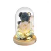 Flores decorativas Rosa eterna preservada con luz de humor, lindo oso en cristal, regalos para siempre para novia, esposa, madre