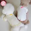 Abbigliamento per cani 2024 Autunno Inverno Home Cute Cat Costume Pet Teddy Clothes