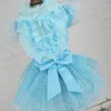 Vêtements pour chiens Robe de mariée pour animaux de compagnie Big Bow Dentelle Strass Ballet Chat Chiot Princesse Jupe Costume de fête 5 tailles 4 couleurs