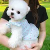 Hundkläder katt chihuahua xs små kläder söt klänning valp kjol Yorkshire schnauzer maltese bichon poodle pomeranian kläder