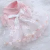 Vêtements de chien mignon fille robe jupe en dentelle chat chiot Yorkshire Terrier poméranien Shih Tzu maltais Bichon caniche Schnauzer vêtements