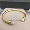 Platinum Charm Jewelry Wire Mens dust-bag Designer Women Trend Twisted Bracelet Bracelets Gold Hot Round Plated Head Hemp Fashion Versatile Selling Jewelrys