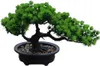 Fiori decorativi Pianta bonsai artificiale Casa in vaso Pino giapponese 19 cm di altezza 34 larghezza per la decorazione domestica Display da tavolo