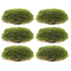 Dekorativa blommor 6 PCS Garden Decor Artificial Stone Ornament Micro Landscape Moss Stones Props Flower Vase Bonsai False Office DIY