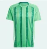 2024 Nordirlands fotbollströjor Divas Charles Evans National Team 24 25 Charles Ballard Best Brown Football Shirts Green Away White Men Kids Kit Uniforms