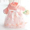 Vêtements de chien mignon fille robe jupe en dentelle chat chiot Yorkshire Terrier poméranien Shih Tzu maltais Bichon caniche Schnauzer vêtements