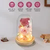 Flores decorativas Rosa eterna preservada con luz de humor, lindo oso en cristal, regalos para siempre para novia, esposa, madre