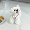 Cão vestuário bonito vestido gato saia inverno roupas para animais de estimação cachorrinho roupas chihuahua yorkshire terrier pomeranian maltese trajes