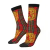 Chaussettes pour hommes Stewart Tartan Scottish Plaid Lion Rampant Mâle Hommes Femmes Printemps Bas Harajuku