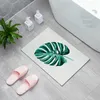 Carpets Absorbants Salle de bain tapis à pied tapis de toilette tapis de toilette