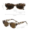 Sunglasses Retro Cat Eye Women Brand Designer Vintage Small Frame Ladies Classic Leopard Outdoor Sun Glasses