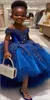 2024 Королевские синие кружевные платья для девочек-цветочниц Бальное платье из тюля Роскошные рождественские платья-пачки для маленьких девочек на день рождения Крещение