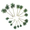 Dekorativa blommor 15 PCS Model Tree Palm Green Landscape Cake Decorations Dekorera landskap Barnväxt