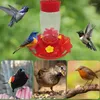 Outros suprimentos de pássaros alimentadores para o beija-flor externo visível em todas as estações observadores recipientes de alimentação de água frontal