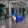 Hondenkleding reflecterende vierbenige regenjas voor kleine honden jassen all-inclusive regenkleding puppy waterdicht