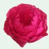 Papperhuvud Peony Giant Home Large Party Wedding Flower Photography Props Bakgrund Vägg scendekoration Hantverk