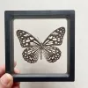 Sculpturen Echte vlinder Specimen Fotolijst Zeldzame Vlinder Ornament Gift Kleuterschool Display Frame Hangende Foto Muur Decor