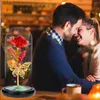 Dekoratif Çiçekler Gül Işık Yapay Galaxy Lambası Kelebek Renkli LED Cam Valentine'in Kadınlar İçin Ana Günü Hediyesi