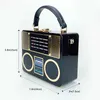 Fashion Acrylic Bag Women Tape Recorder Women's Bag Crossbody Handbag 033024