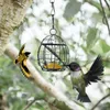 Andra fågelförsörjningar koppar ekorre bevis matare litet hus.e 2024 kolibri för utomhus matare fönster monterad