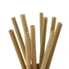 Pailles à boire paquet de 10 pailles de bambou avec brosse de nettoyage écologique réutilisable naturel 8 "20 cm de longueur