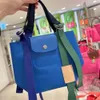 Designer Handbags for Women New Dragon Inlaid Bag Replay Ribbon Handheld Crossbody Nylon Versatile Colored Womens