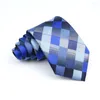 Papillon Design Matrimonio Affari Uomo Cravatta Verde Viola Blu Plaid Cravatte Goccia Colletto da sposo Accessori Regalo