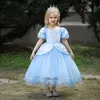 Princess Sky Blue Jewel Girl's Birthday/imprezowe sukienki dziewczyny suknie.