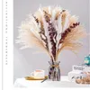 Fiori decorativi Pampas secchi naturali erba Nordic boho dedorti home flores lagurus ovatus meding mariage accessoirres decor