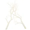 装飾的な花2 PCSクリスマスデコレーション花瓶の白い棒のための乾燥枝冬のマンザニタ小枝