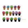 Decorative Flowers 16 Pcs Miniature Succulents Decorations Kids Toys Artificial Plants Model Bonsai House Accessories Resin Child Models