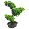 Decorative Flowers Artificial Plants Indoor Bonsai Pine Tree Mini Desk Fake Decorations Cute Office