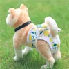 Dog Apparel Pet Physiological Pants Menstrual Princess Panties Diaper Breathable Cloth Elasticity Safety Hygiene