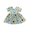 Kids Clothing Boutique Summer Baby Girls Rabbit Twirl Dress Clothes 240326