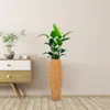 Vaser Hydroponic Vase Office Decor Woven Flower Holder Rattan Plastic Decorative Containers Enkel imitation