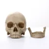 Sculptures 1: 1 Human Head Skull Statue for Home Decor Resin Figurines Halloween Decoration Sculpture Enseignement médical Sketch Modèle Artisanat