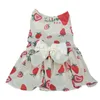 Vêtements pour chiens Lavable Robe pour animaux de compagnie durable avec ruban d'impression de fruits d'été Bowknot pour petit chiot moyen