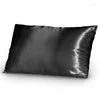 Kudde Solid Color Emulation Ice Silk Satin Pillow Case Bekväm flerfärgad täckning för sängkast Singel