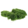 Decorative Flowers Bonsai Simulated Moss Turf Flower Pots Artificial Spanish Pearl Cotton For Plants Indoor