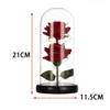 Dekorativa blommor Rose Flower Gift for Women Valentines Day Mom Artificial Anniversary Decor with Lights Table Lamp