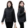 Kvinnors korta jackor Parkas 2023 Ny Autumn Winter Cott Padded Coats Korean Lossa stor storlek Casual Overrock Kvinnlig Outwear R7S0#