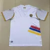 2024 아르메니아 축구 유니폼 23 24 성인 홈 ranos Zelarayan Match Jersey Training Wear 남자 축구 셔츠