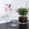 Plantenbakken Transparante Kubieke Glazen Bloempotten Woondecoratie Accessoires Eenvoudige Hydrocultuur Hoge Kwaliteit Groene Planten Ingemaakte Decoratie